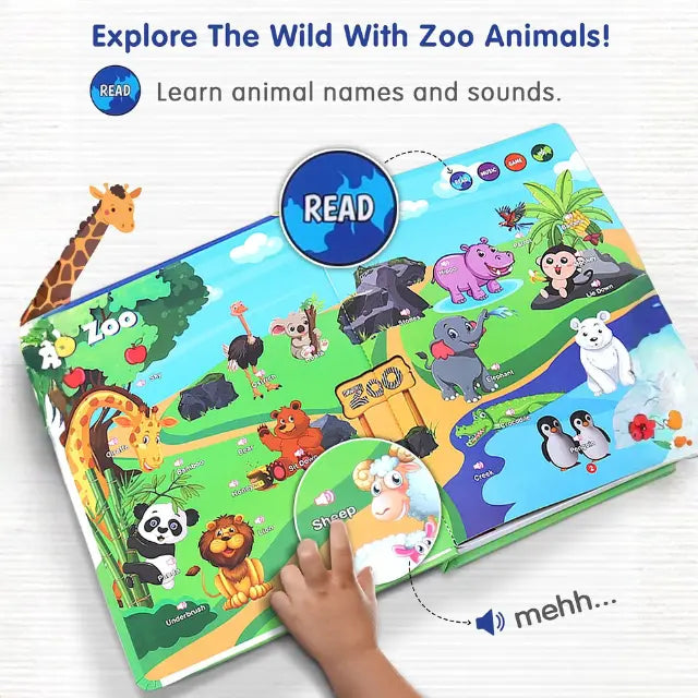 Play & Learn Interactive Sound Book
